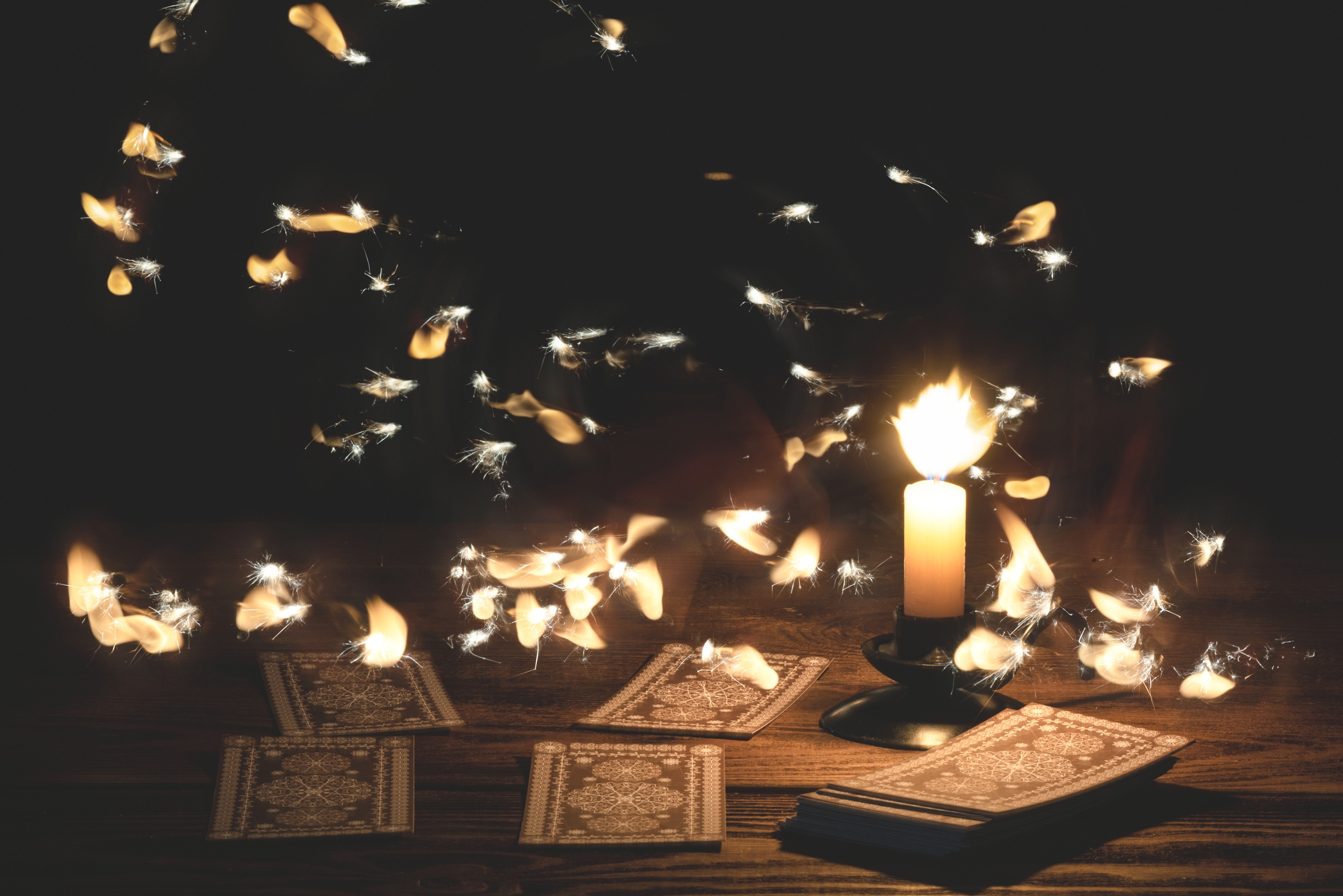 The Best Phone Tarot Reading 2023