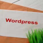 Important Considerations When Hiring a Front-End WordPress Website Developer