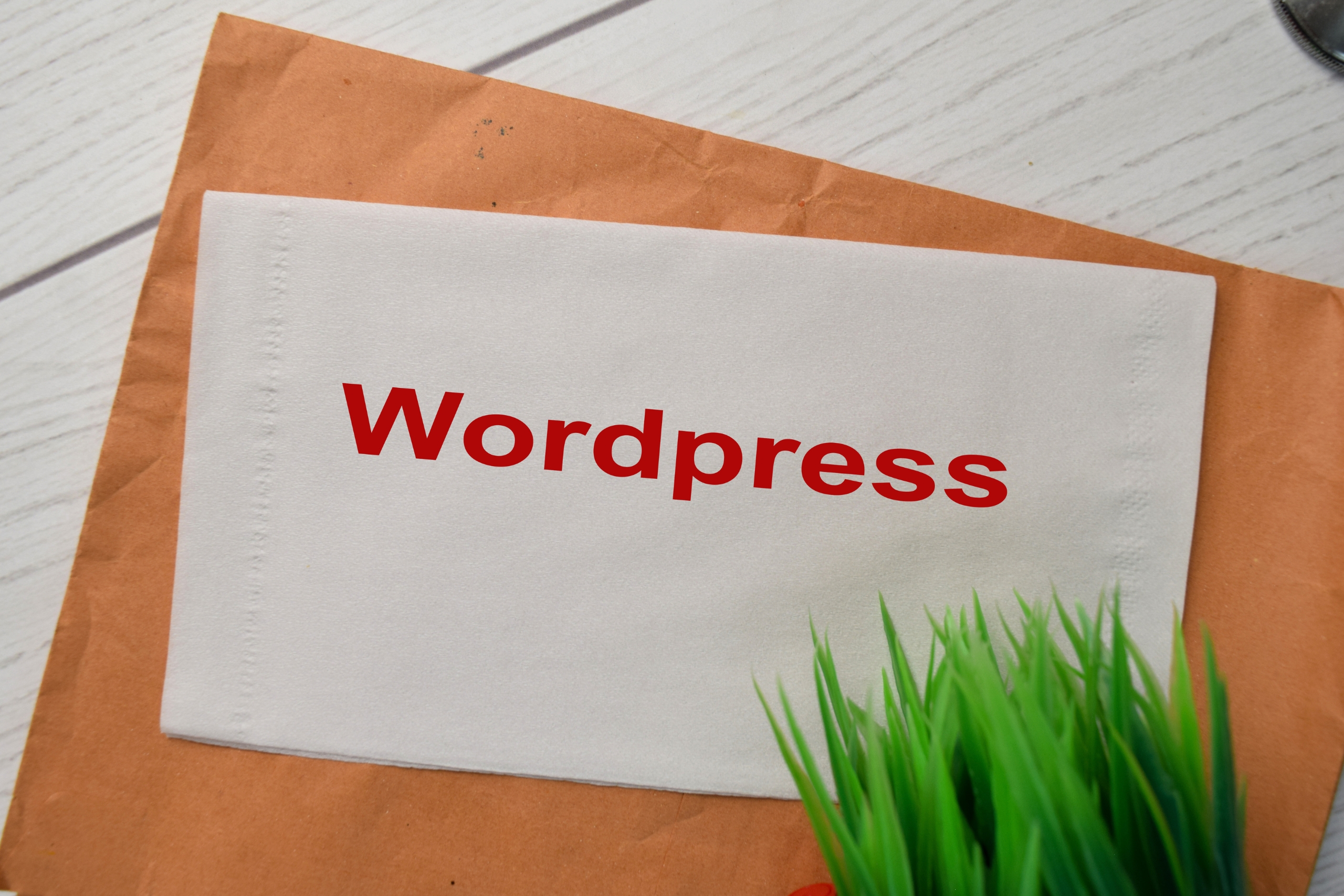 Important Considerations When Hiring A Front-End WordPress Website Developer