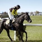 Horse Racing Tips – New To Betting?