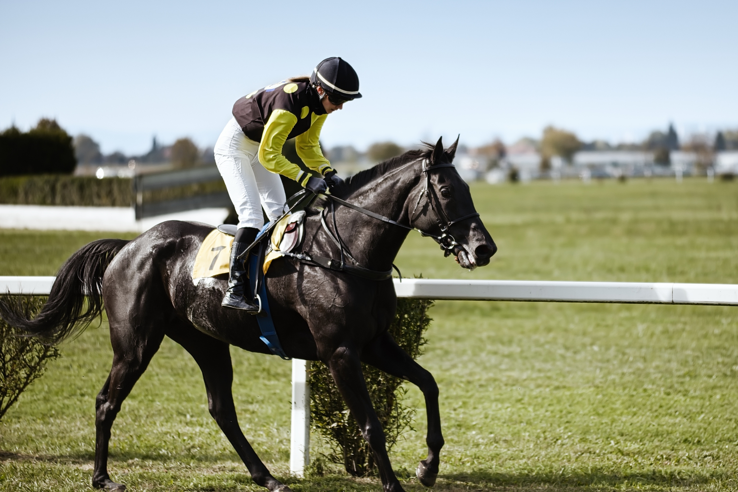 Horse Racing Tips – New To Betting?