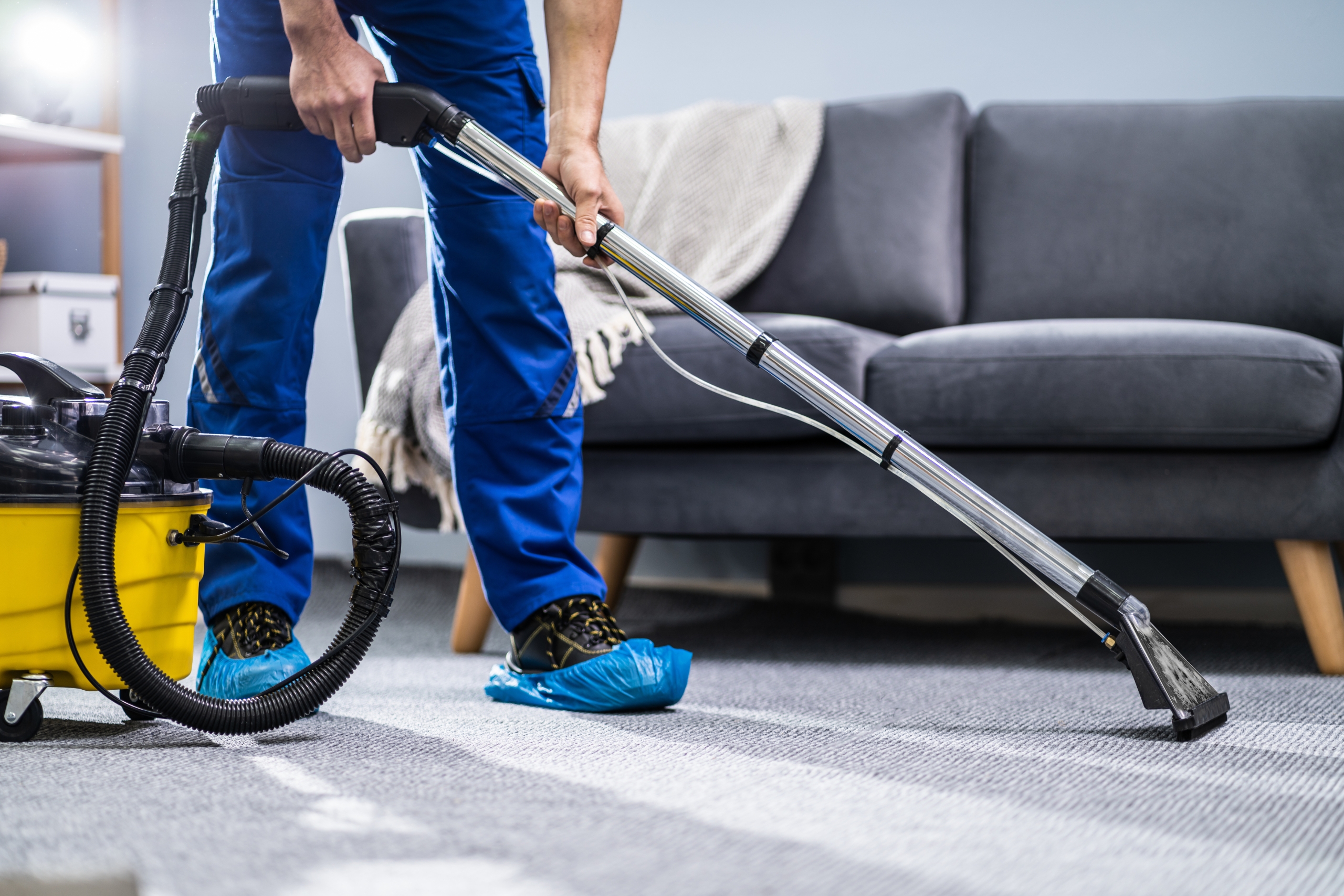 Where To Find Carpet And Upholstery Cleaning In Guildford