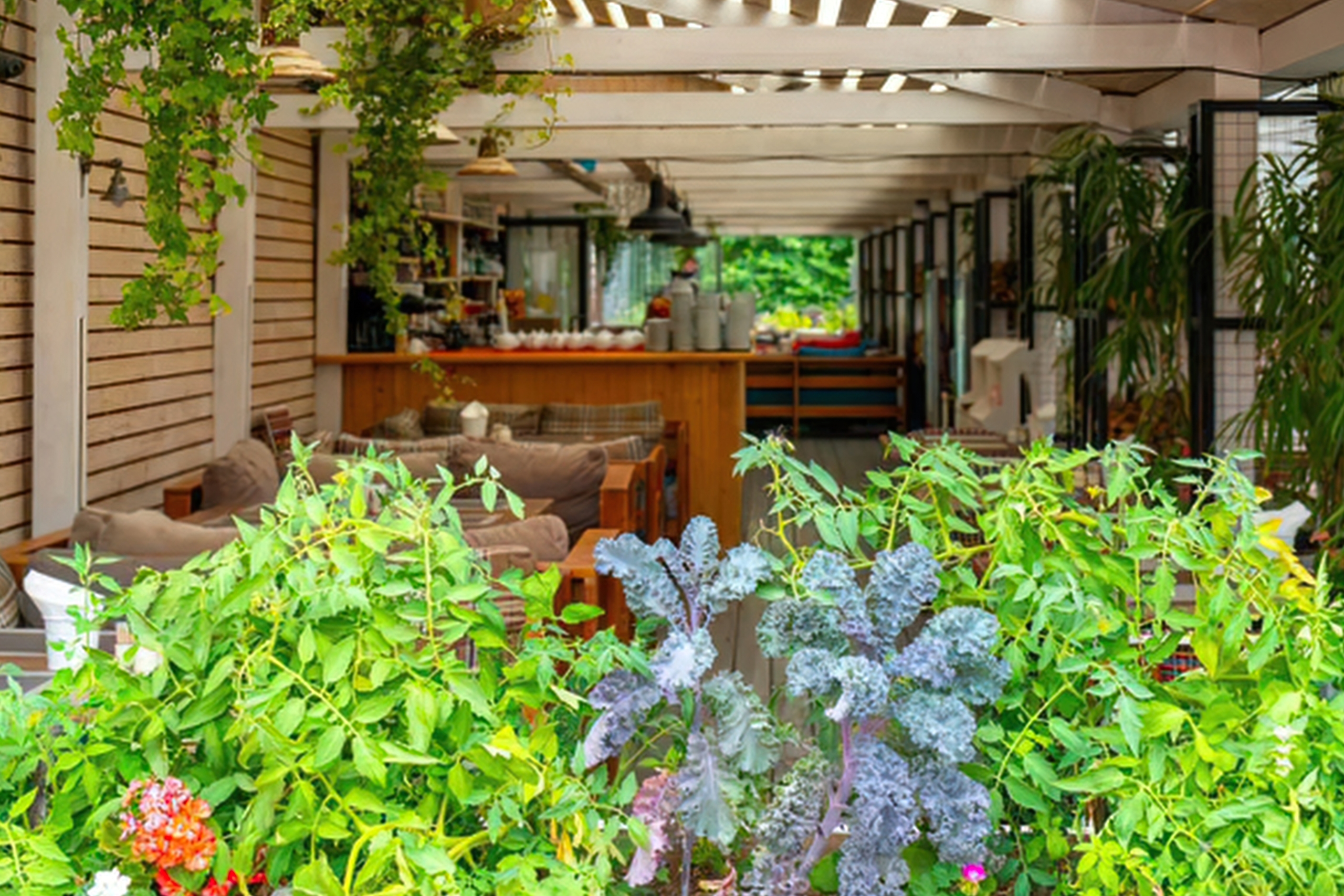 How To Find The Best Garden And Patio Online