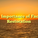 The Importance of Facade Restoration