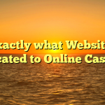 Exactly what Websites Dedicated to Online Casinos?